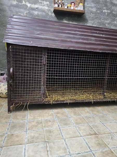 iron cage for dogs Cats hens duck adult and puppies 4