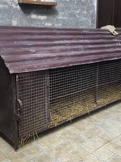 iron cage for dogs Cats hens duck adult and puppies