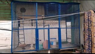 Cage / Pinjiera contact number 03492103931 +923112764584 (urgent sale)