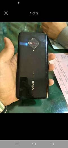 vivo