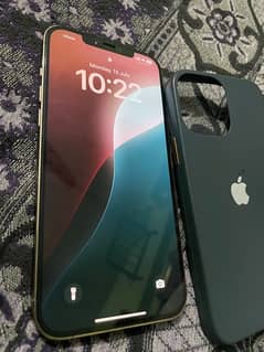 IPhone 12 Pro Max PTA approved