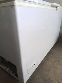 New freezer full size