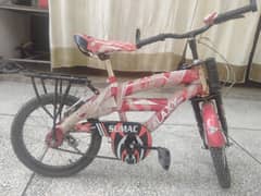 new bicycle for kids