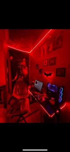 Selling Full Gaming Setup with neon lights