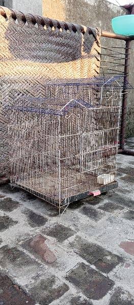 cage/iron cage/wood cage/heera aseel 6