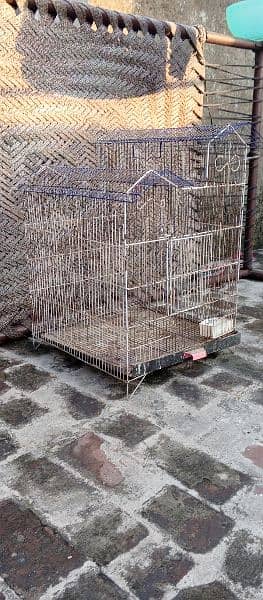 cage/iron cage/wood cage/heera aseel 7