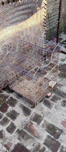 cage/iron cage/wood cage/heera aseel 9