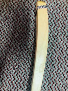 Coconut Cricket Bat