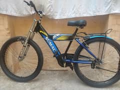 Sumaic Cycle Full Size For Sale