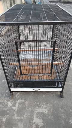 hen and Birds cage