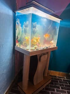 Aquarium for sale