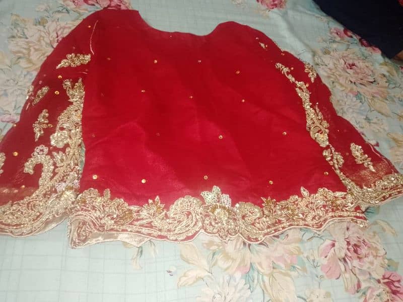 Bridal Lehenga for braat 11