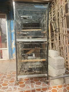 Parrot Big size Cage