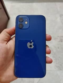 Iphone 12 64 GB PTA Approved