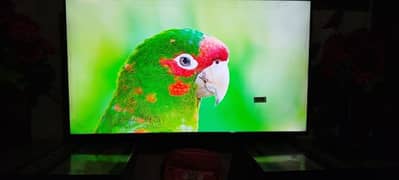 Haier LED 40 Inches