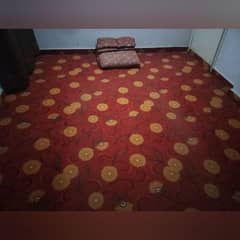 Carpet