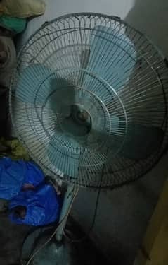 fan