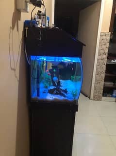 Aquarium With fish