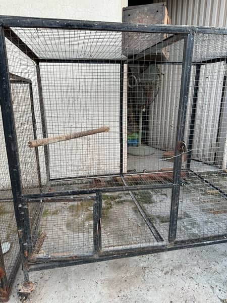 Big Size Parrots cages with trays 3