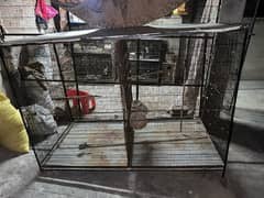 colony cage