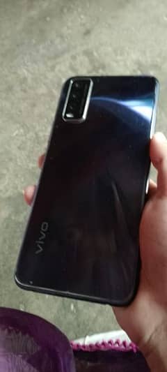 vivo