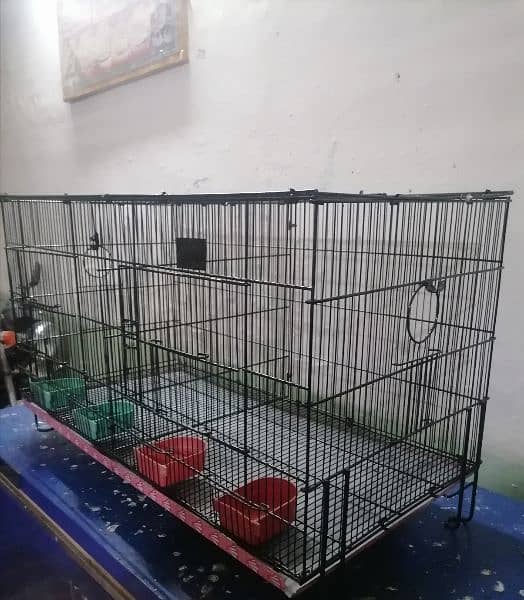 cage sale 03351576900 2