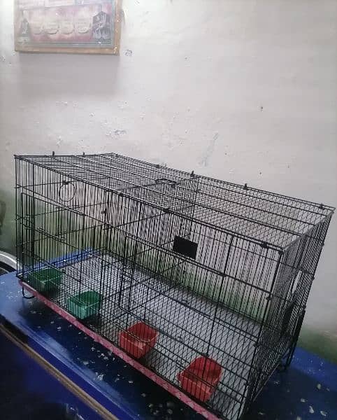 cage sale 03351576900 4