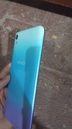 vivo