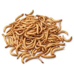 Mealworms For Birds and pet animals