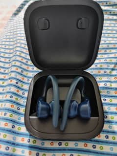 Powerbeats Pro earbuds 0