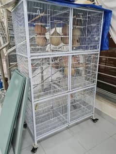 Birds Cage