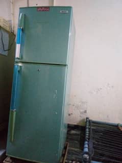 Refrigerator for Salel