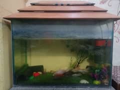 fishes and aquarium with all accessories