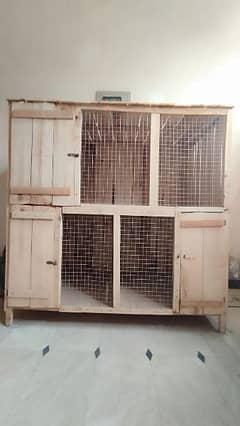 Hens Cage