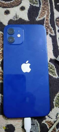 I phone 12 mini