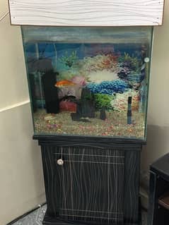 fish aquarium for sale