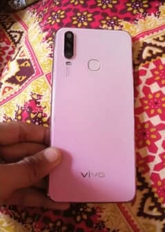 vivo