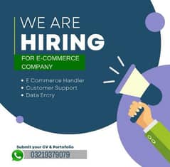 We are hiring freshers and experienced for E commerce business