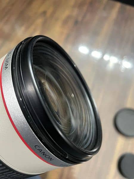 Canon 70-200 F2.8 IS I Lens 1