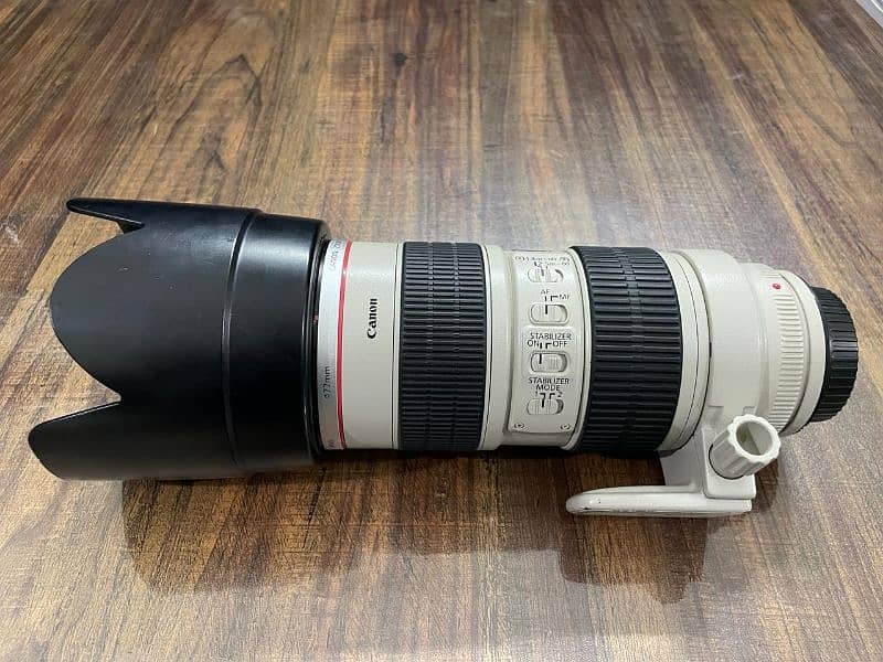 Canon 70-200 F2.8 IS I Lens 2