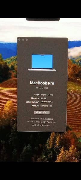 MacBook M1 Pro 2021 32GB 512GB 14" CTO Model A2442 2