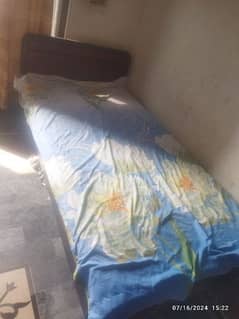 Single Bed Wooden