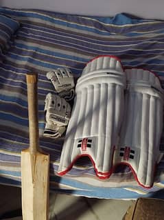 1 bag / 2 pads / 2 gloves / bat