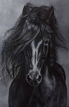 Oil painting Black horse