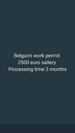 Belgium work visa available