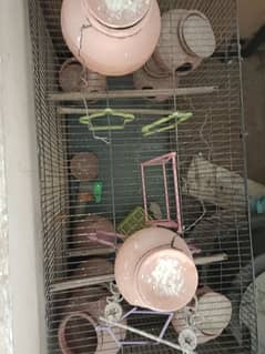 PARROTS CAGE 03326565130 number