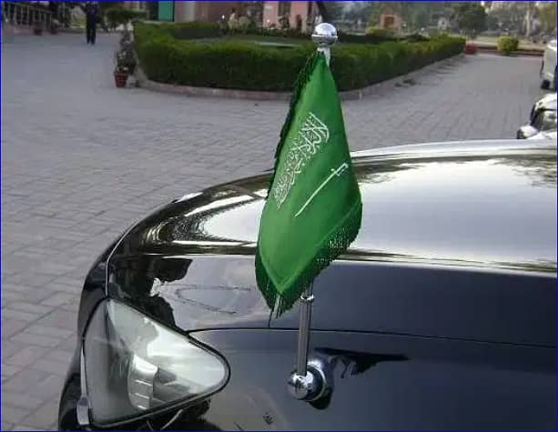 Car flag pole for Government official 03008003560 4