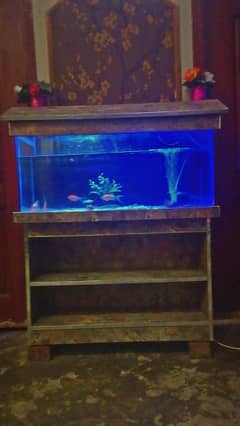 Fish with Aquarium and Water pump for Sale