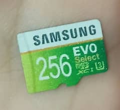 Memory Card 256 GB Samsung