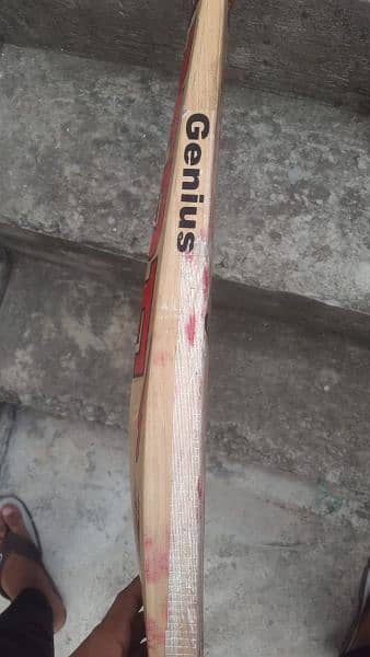 hard ball english willow cricket bat 1